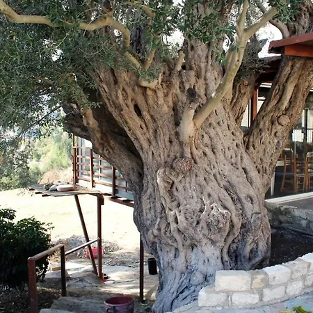 别墅 Idyllic 3 Bed With Stunning Views Paphos